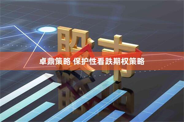 卓鼎策略 保护性看跌期权策略